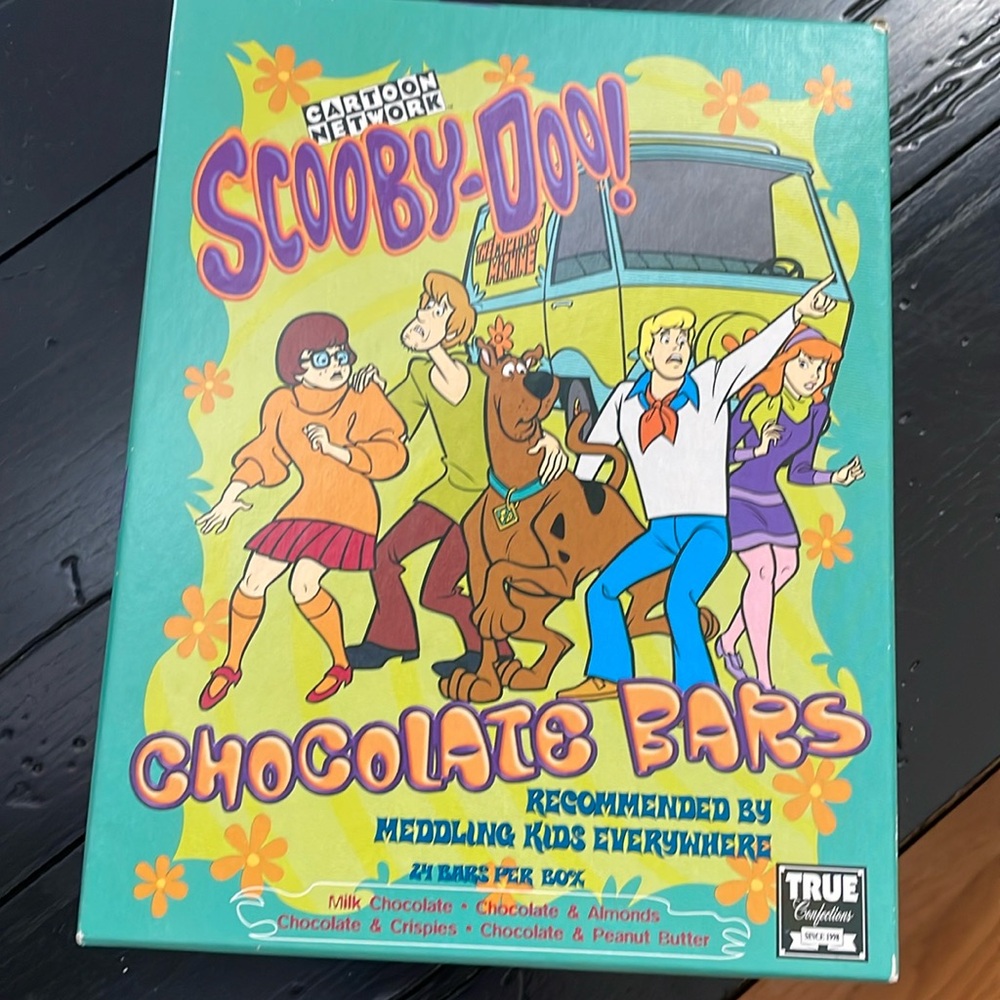 Vintage 1999 Scooby Doo Hinged Box